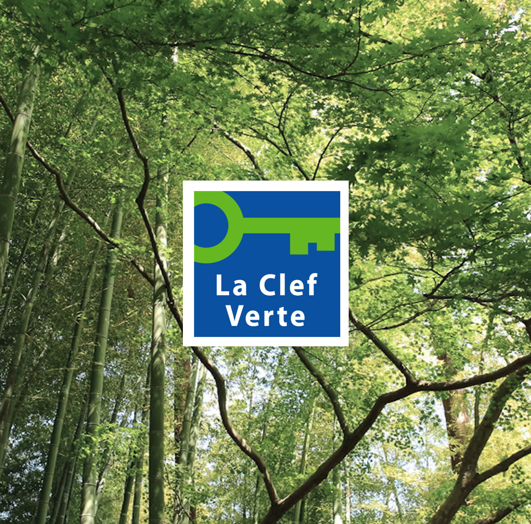 Um logótipo com um símbolo de chave verde sobre fundo azul, intitulado «La Clef Verte», tendo como pano de fundo árvores verdejantes e bambus.