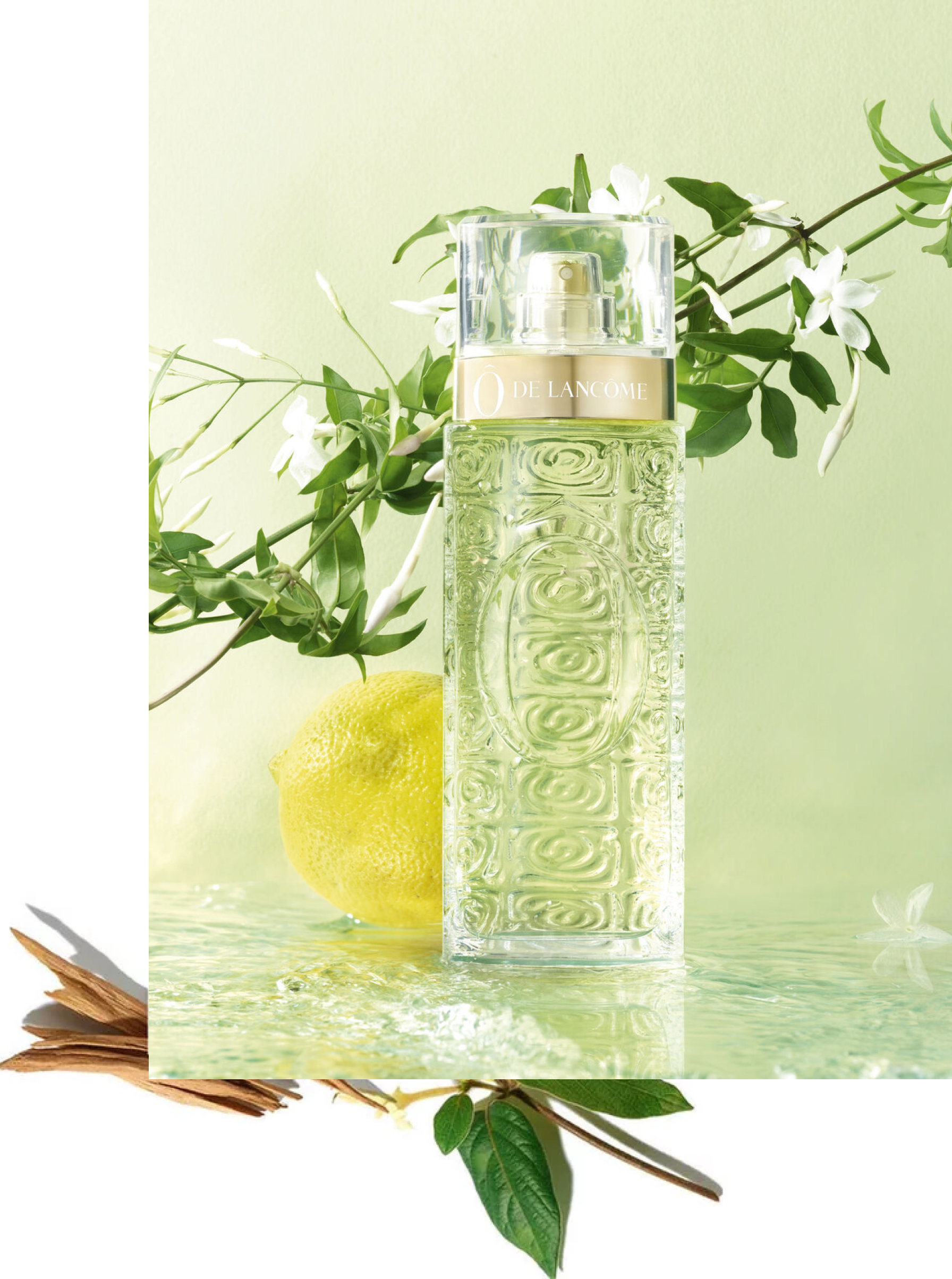 Eine Flasche Lancôme-Parfüm, umgeben von grünen Blättern, einer Zitrone und floralen Elementen vor einem sanften grünen Hintergrund.
