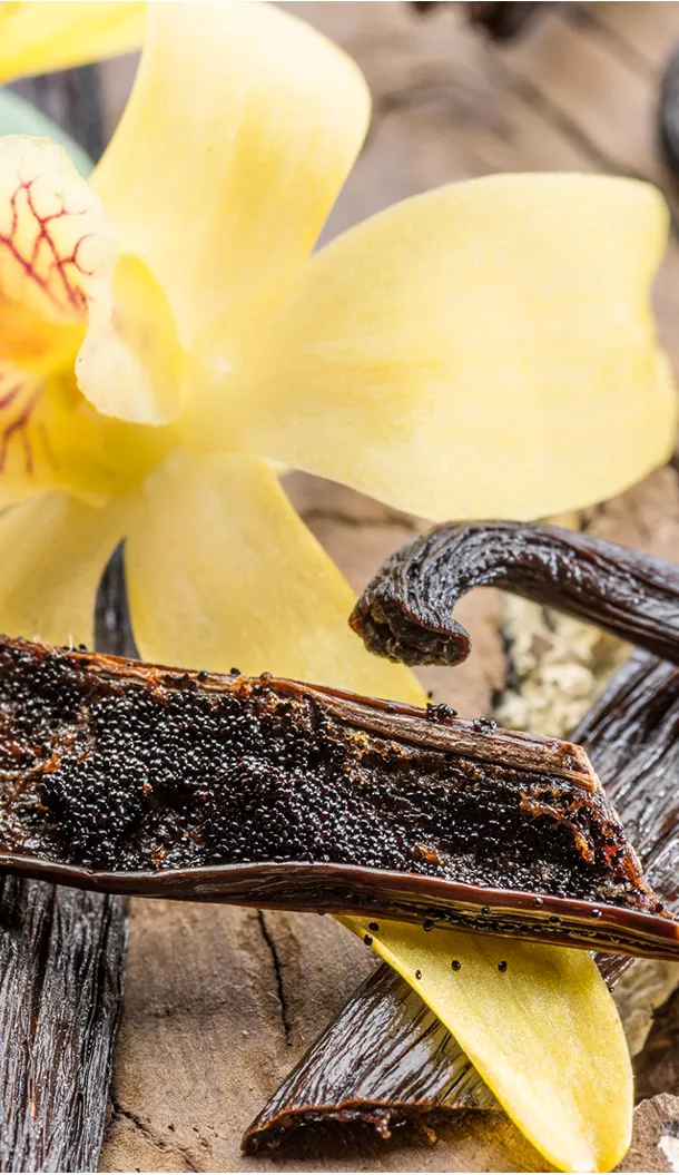 Nahaufnahme einer Vanilleschote und ihrer Samen neben einer gelben Orchideenblüte auf einer strukturierten Holzoberfläche.