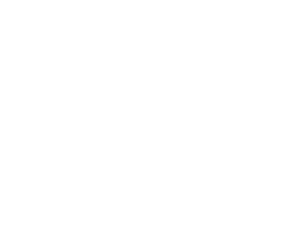 Testo stilizzato che recita "Campos de Ibiza" in un carattere fluido e decorativo su sfondo nero.