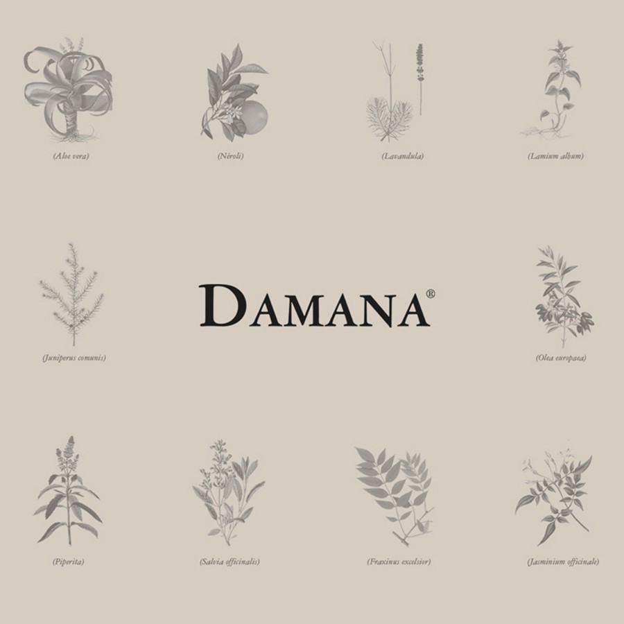 Um fundo bege claro com desenhos botânicos de várias ervas e plantas dispostas em torno do nome da marca «Damana».