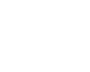 Uno sfondo bianco semplice senza caratteristiche o oggetti distintivi.