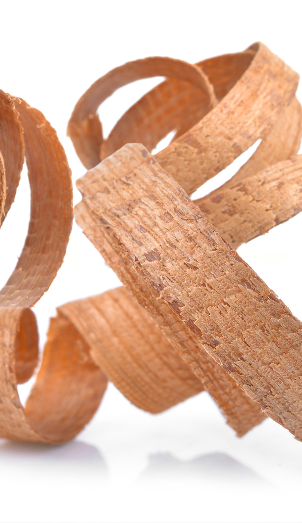 Primo piano di trucioli di legno arricciati in varie tonalità di marrone su sfondo bianco. I trucioli appaiono lisci e dalla trama fine, creando un'interessante forma astratta.