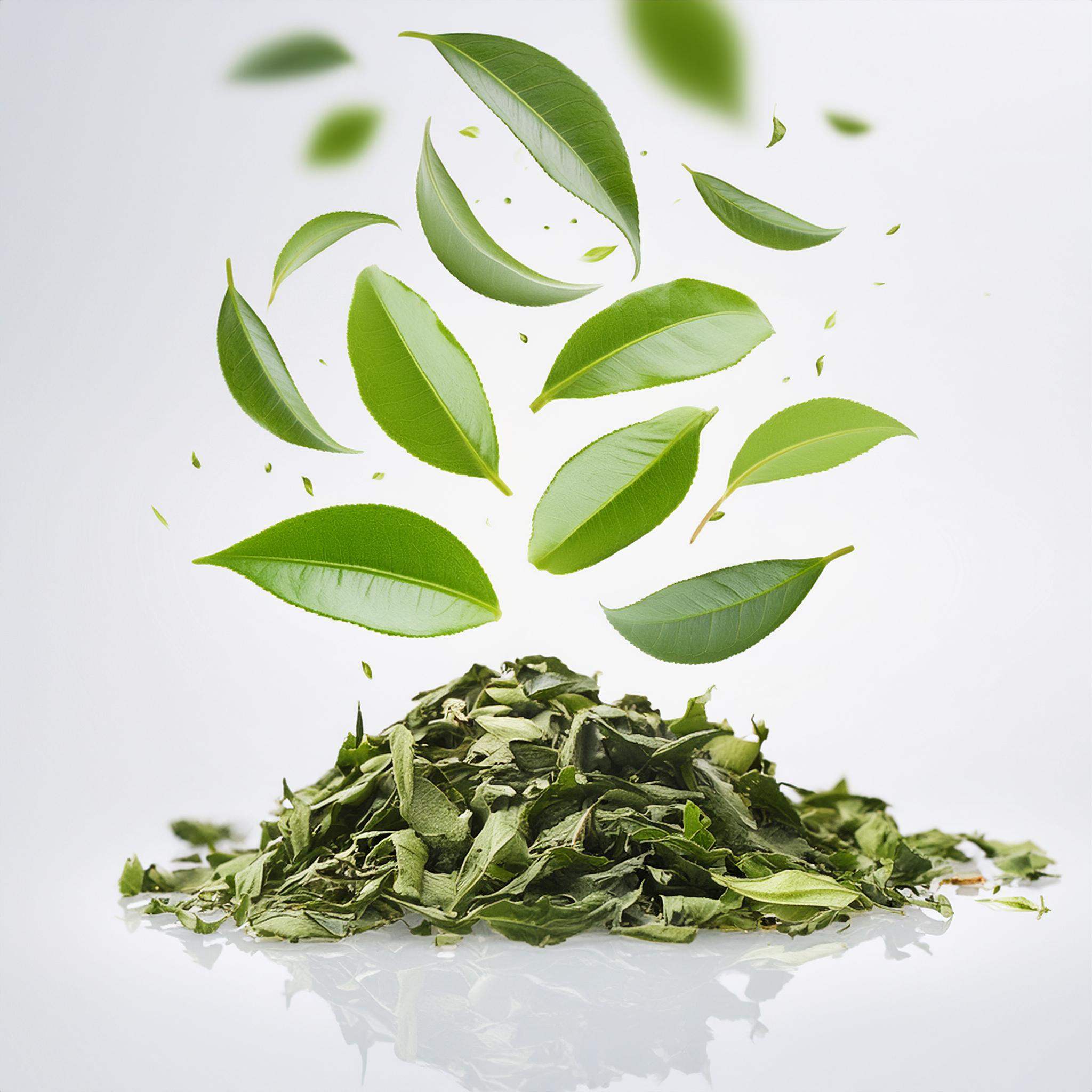 Uma pilha de folhas secas de chá verde com folhas frescas de chá verde a flutuar por cima delas, contra um fundo branco limpo.