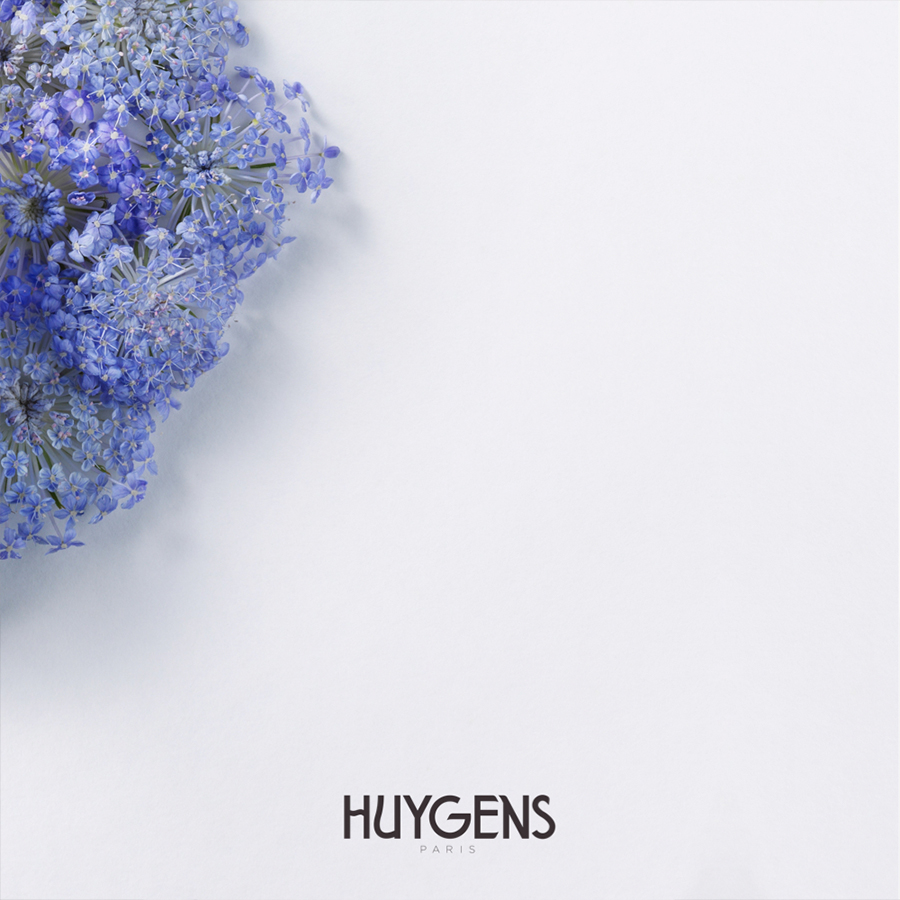 Un mazzo di delicati fiori blu disposti in un angolo su uno sfondo bianco essenziale con la scritta "HUYGENS PARIS" centrata in basso.
