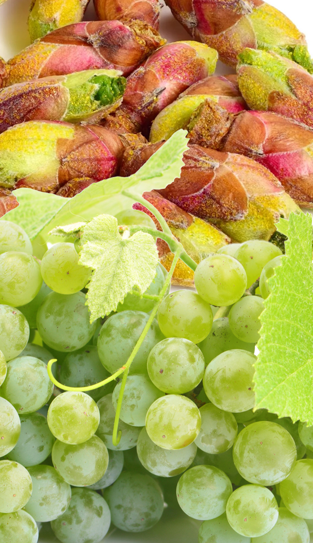Um grande plano de uvas verdes frescas ao lado de uma variedade colorida de pistácios jovens com casca.