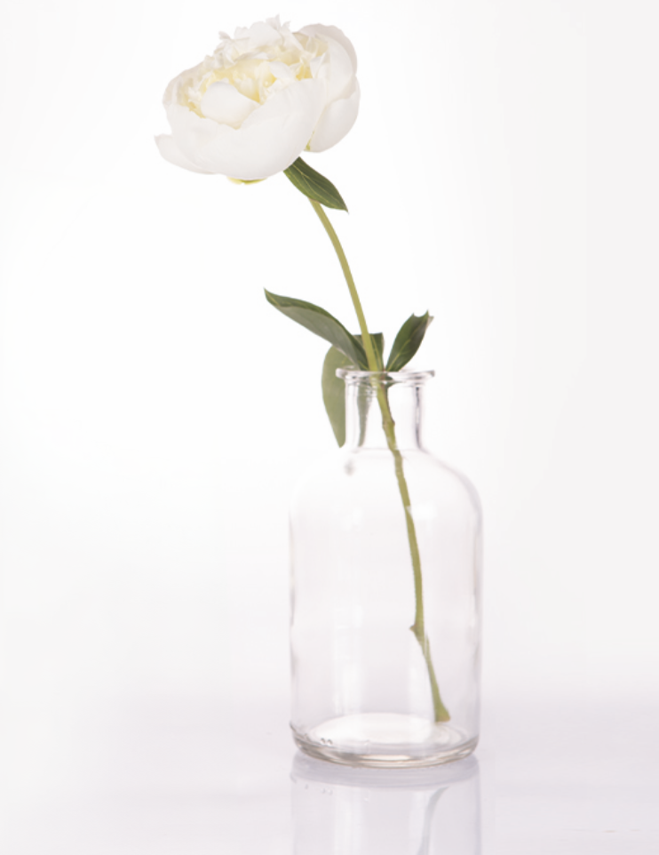 Un singolo fiore di peonia bianca è posizionato in verticale in una bottiglia di vetro trasparente su uno sfondo bianco.