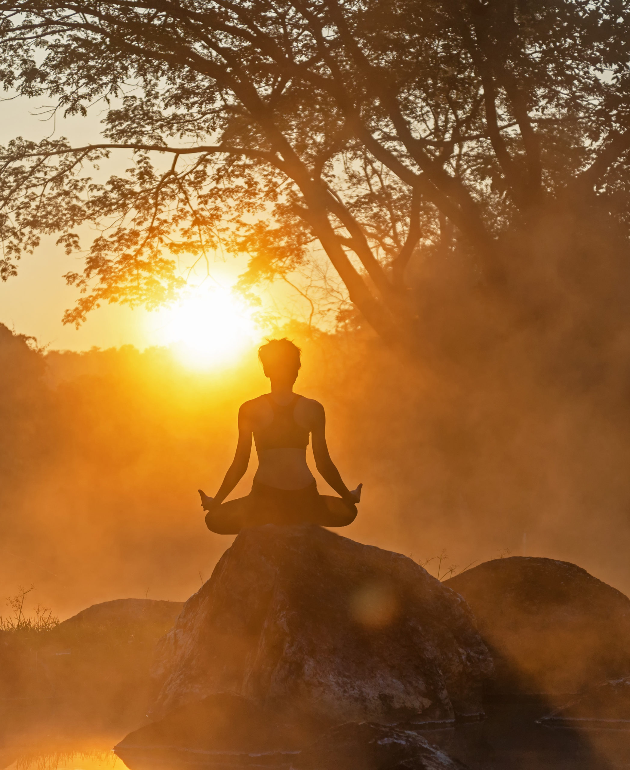 Die Silhouette einer Person, die bei Sonnenaufgang auf einem Felsen meditiert, umgeben von Nebel und Bäumen. Im Hintergrund geht die Sonne auf und taucht die Umgebung in ein warmes, goldenes Licht.