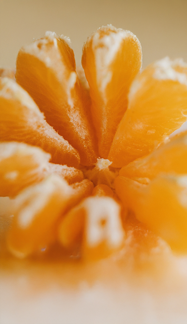 Nahaufnahme einer segmentierten Orangenscheibe, die ihr leuchtend orangefarbenes Fruchtfleisch und ihre weiße Schale zeigt. Der Hintergrund ist sanft unscharf, wodurch die Textur und Farbe der Frucht betont werden.