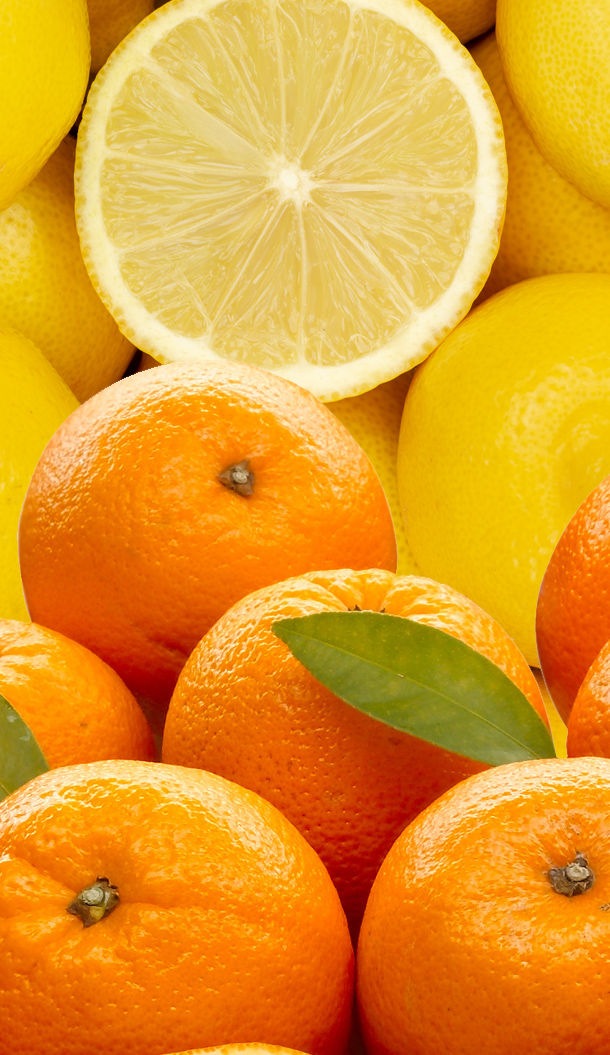 Ein lebhaftes Arrangement aus frischen Orangen und Zitronen, wobei eine halbierte Zitrone prominent in der Mitte platziert ist. Die Orangen sind abwechslungsreich angeordnet, wodurch ihre leuchtend orange Farbe und ihre grünen Blätter besonders gut zur Geltung kommen.