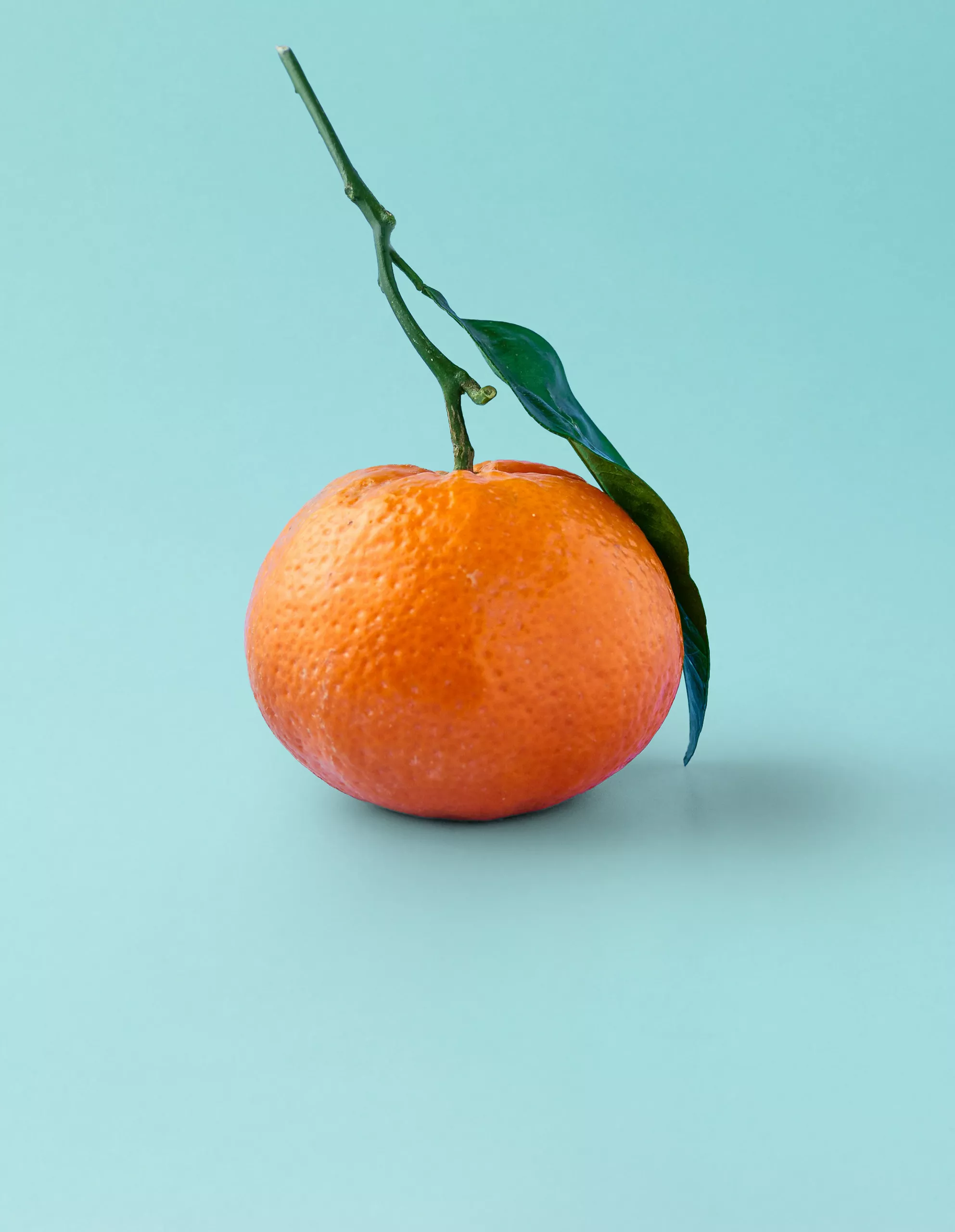 Un frutto arancione con foglia e gambo verdi poggia su uno sfondo azzurro.