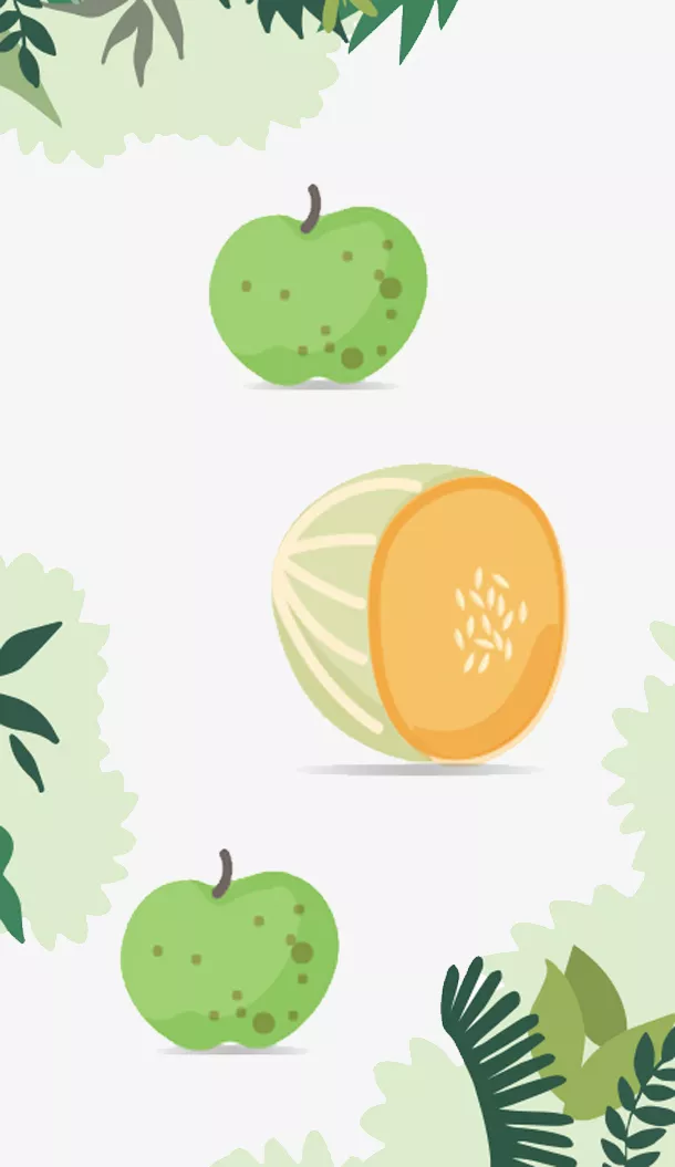 Un melone tagliato a metà con l'interno arancione è circondato da mele verdi e piante a foglia su uno sfondo chiaro.