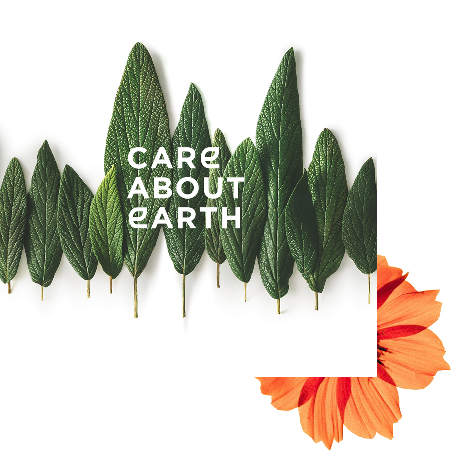 Uma fileira de folhas verdes dispostas na parte superior, com o textoCARE ABOUT EARTH» no centro e uma flor laranja brilhante parcialmente visível no canto inferior direito.