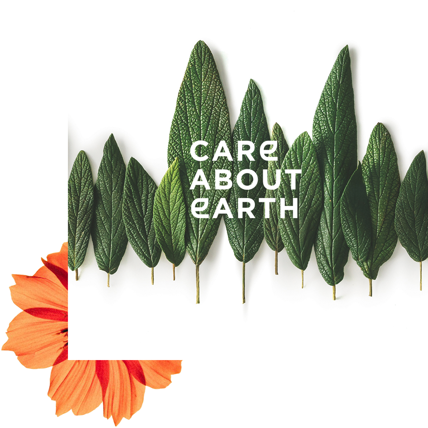 Eine Reihe grüner Blätter, die in einem Wellenmuster angeordnet sind, mit einer leuchtend orangefarbenen Blume in der Ecke und dem SchriftzugCARE ABOUT EARTH” (Kümmere dich umCARE ABOUT EARTH) mittig über den Blättern.