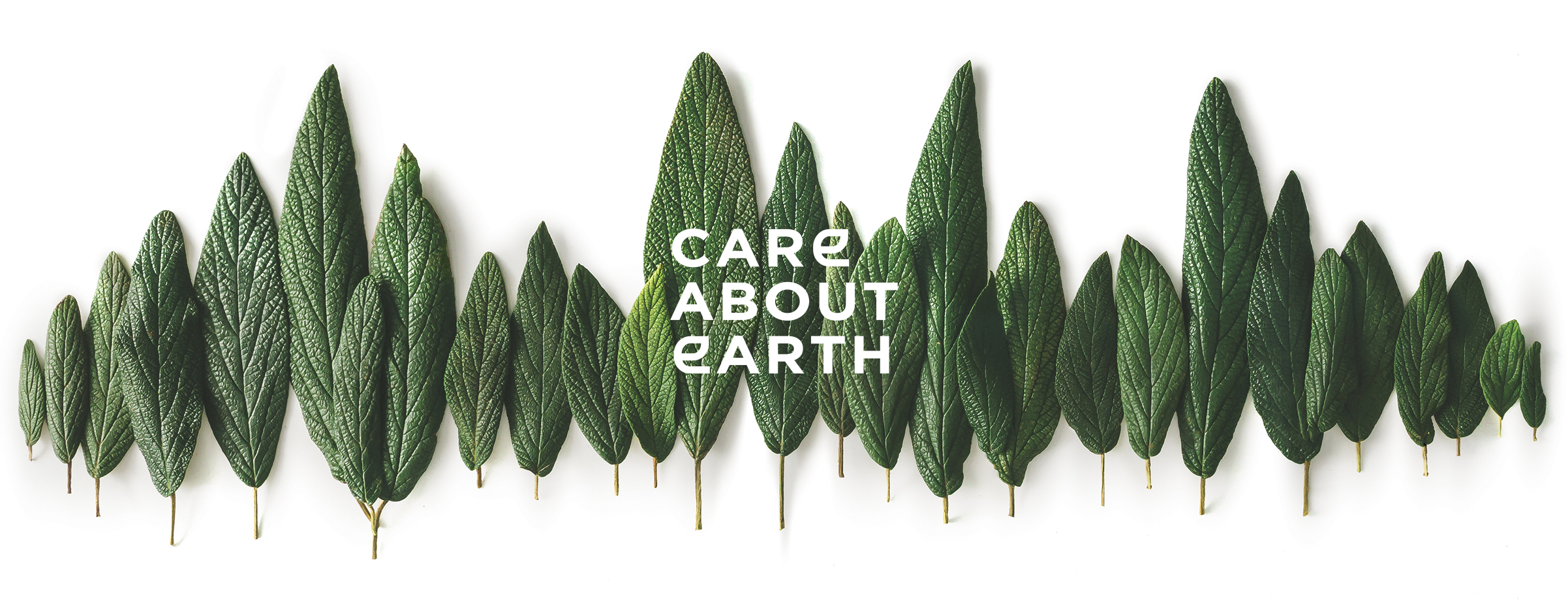 Uma coleção de folhas verdes texturizadas dispostas de forma a formar um padrão ondulado, com as palavrasCARE ABOUT EARTH» (CUIDECARE ABOUT EARTH) em destaque no centro.