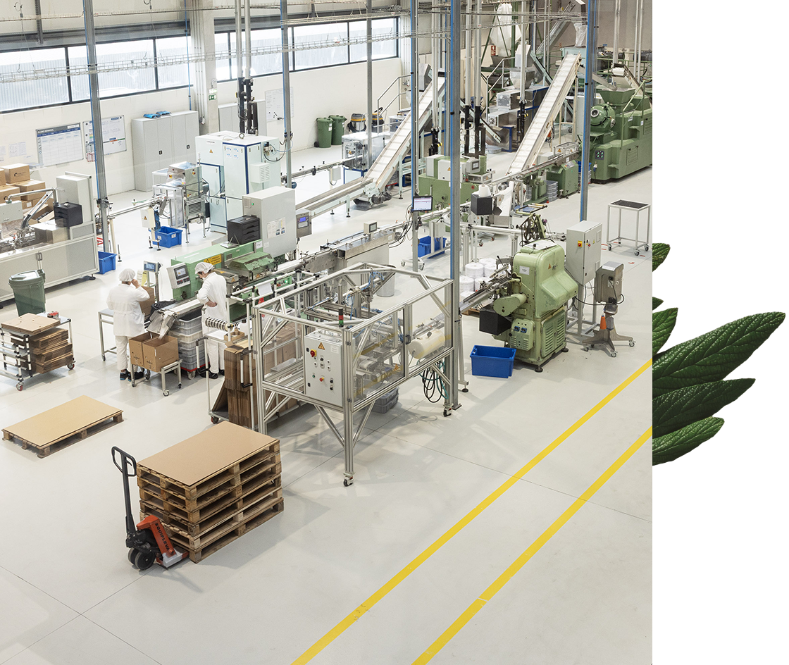 Un ampio stabilimento industriale con macchinari e linee di produzione, dove operai in divisa bianca utilizzano attrezzature e movimentano materiali. In un'area sono accatastati dei pallet, in uno spazio di lavoro pulito e ordinato.
