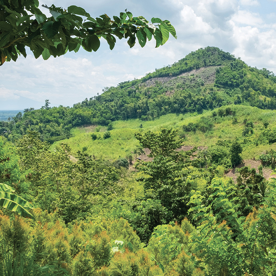 Una collina rigogliosa e verdeggiante con una cima dolcemente inclinata, circondata da alberi e vegetazione di vario tipo, sotto un cielo parzialmente nuvoloso.