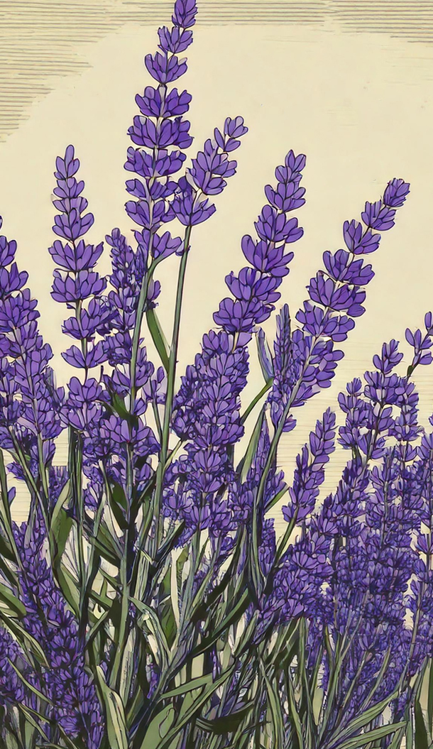 Una vivace illustrazione di alte piante di lavanda con fiori viola su uno sfondo chiaro. La composizione enfatizza la consistenza e i dettagli della composizione floreale.