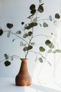 Eine schlichte braune Vase hält schlanke Zweige mit herzförmigen grünen Blättern vor einem sanft beleuchteten Hintergrund.