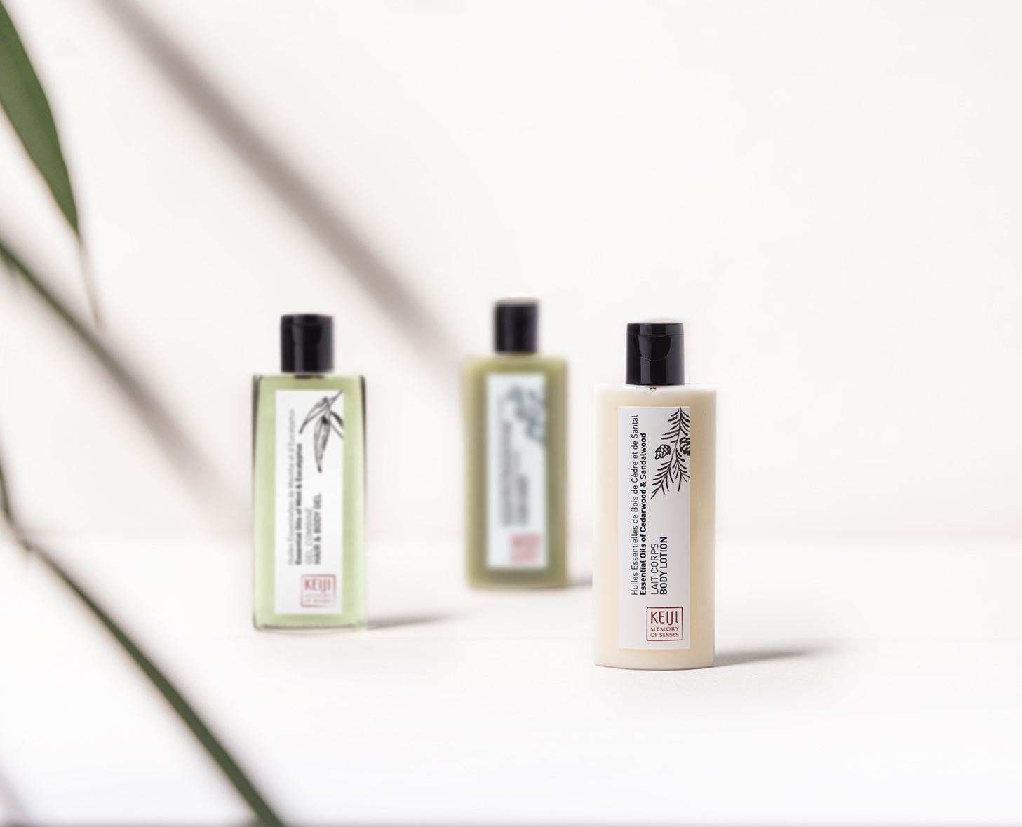 Drei Flaschen Haarpflegeprodukte, mit einer weißen Flasche im Vordergrund und zwei grünen Flaschen im Hintergrund, vor einem neutralen Hintergrund mit einem Hauch von Pflanzenblättern.