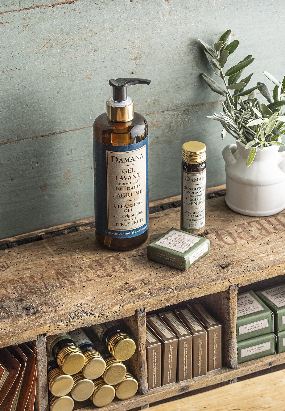 Uma prateleira de madeira exibe vários produtos de beleza, incluindo um frasco grande com bomba de gel de limpeza com aroma cítrico, um frasco pequeno de sérum e sabonetes embalados, com um toque de verde em um vaso branco ao fundo.