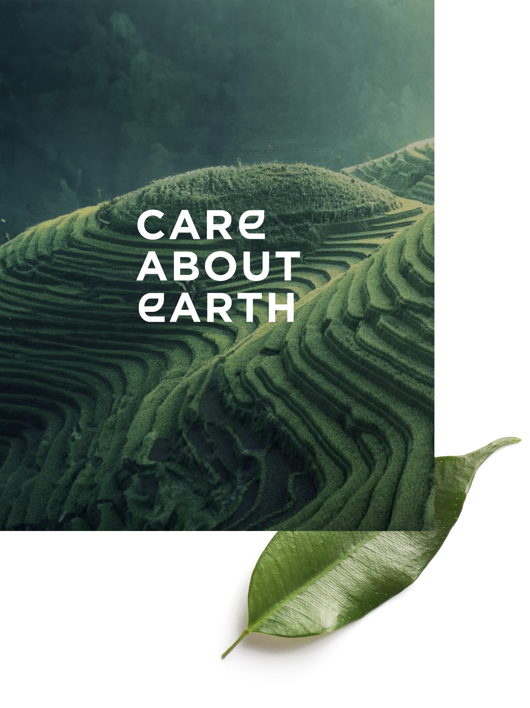Luftaufnahme von üppigen, terrassierten grünen Hügeln mit dem TextCARE ABOUT EARTH” (Kümmere dich umCARE ABOUT EARTH) über dem Bild, begleitet von einem leuchtend grünen Blatt am unteren Rand.