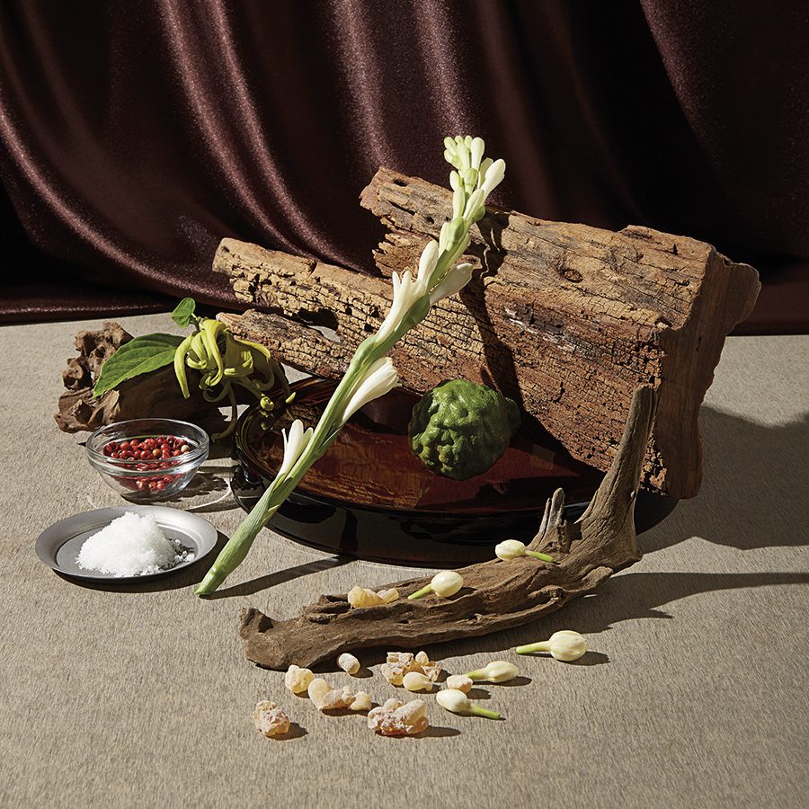 Una composizione con pezzi di legno, un frutto verde, diversi fiori e contenitori di sale e bacche rosse su uno sfondo strutturato. La scena è illuminata delicatamente, mettendo in risalto le texture e i colori naturali.
