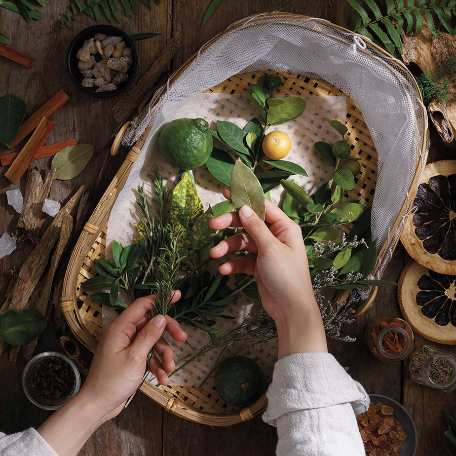 Un paio di mani seleziona erbe aromatiche fresche, agrumi e spezie di vario tipo disposte in un cesto intrecciato su una superficie di legno. La scena è completata da ingredienti naturali sparsi qua e là, come fiori secchi e corteccia.